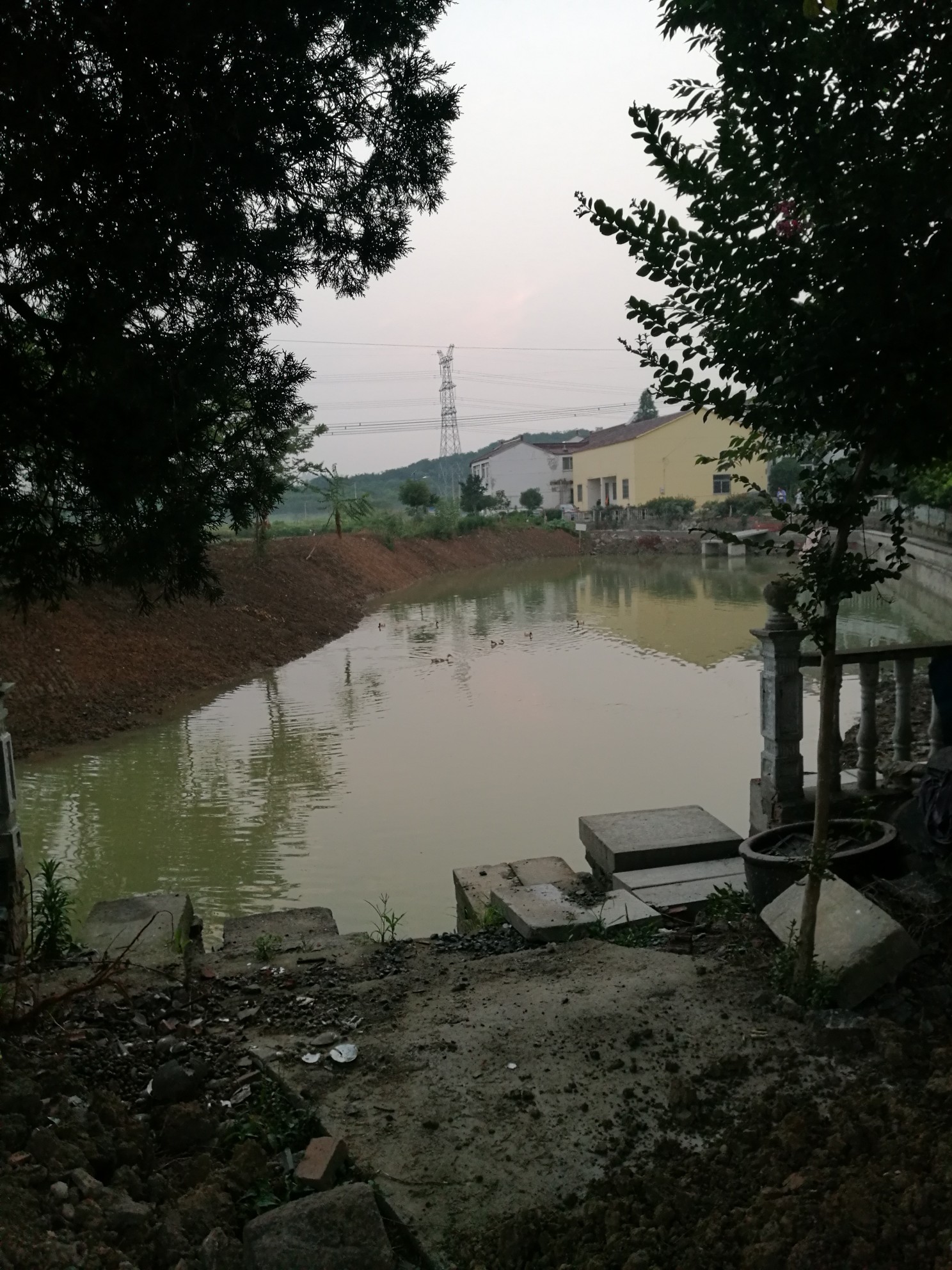 农村池塘雨污分流工程问题