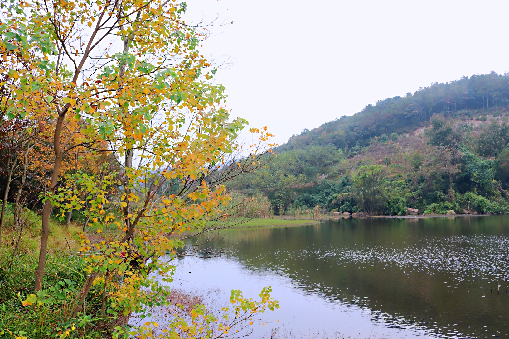 溧水景点